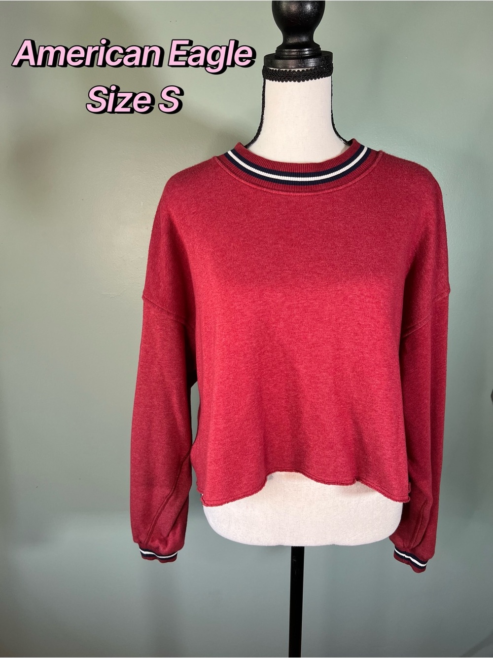 American Eagle Brick Red Cropped Crewneck Sweatshirt Size S